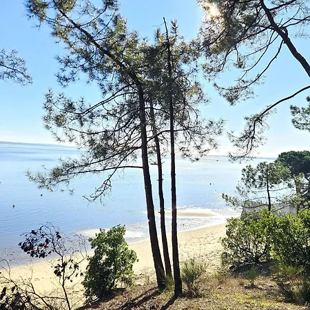 Rénovée Avec Piscine Chauffée, Proche Plage, Idéale Famille Et Amis - Fr-1-736-36 * Lège-Cap-Ferret